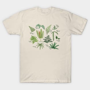 Fresh Adirondack Ferns (Light) T-Shirt